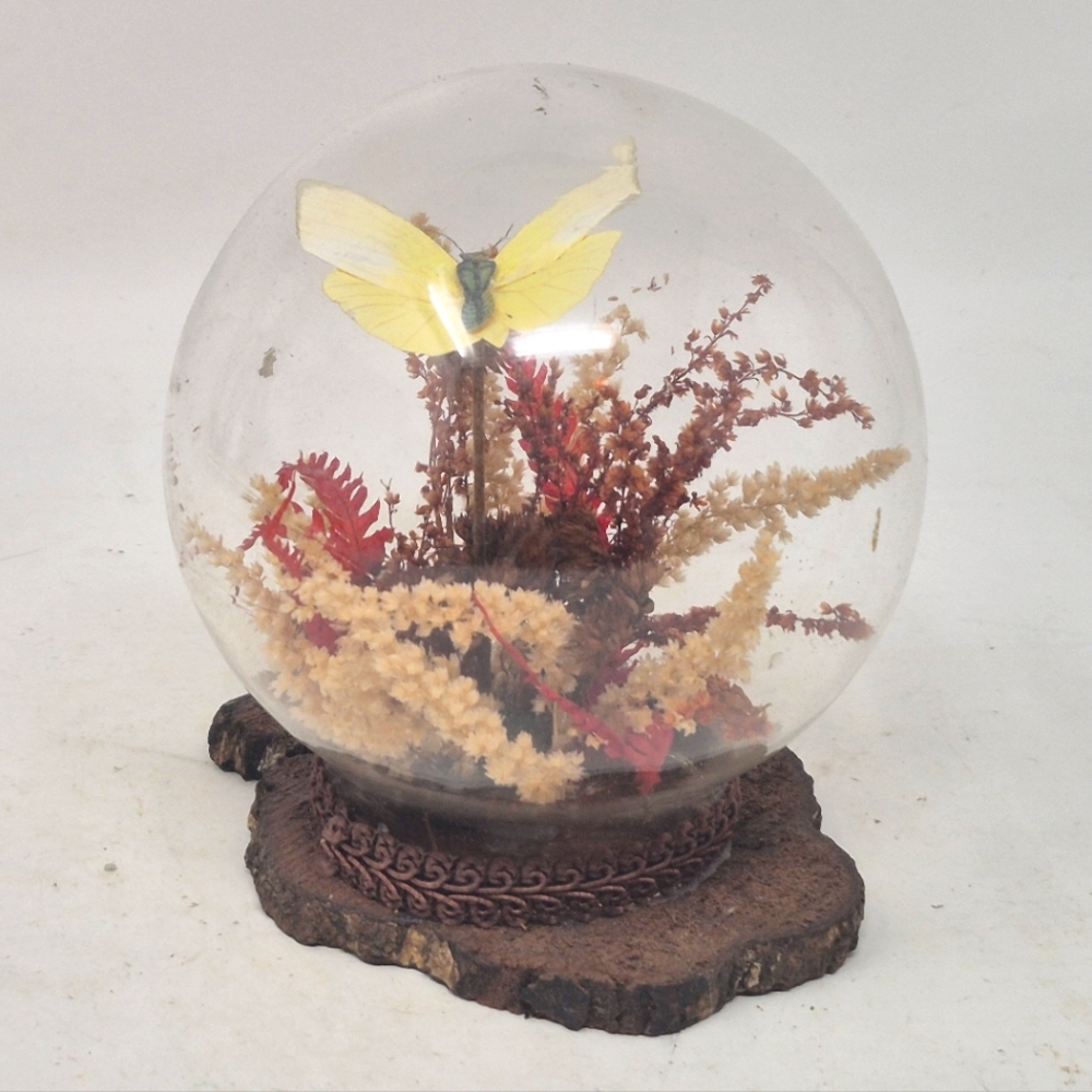 Decorative Glass Globe With Preserved Butterfly and Dried Flowers